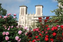 San Fernando Cathederal