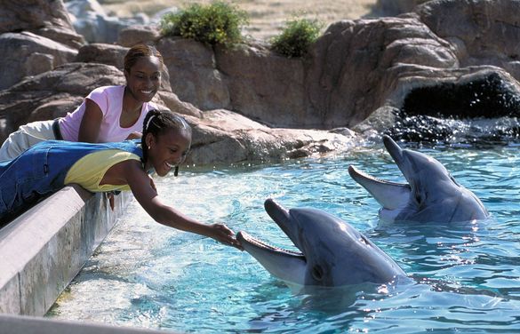SeaWorld San Diego