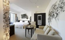Artist Premium Room