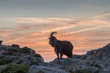 Sunset in Exmoor National Park 
