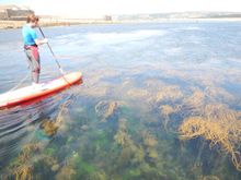 Paddle Boarding - Ocean High 