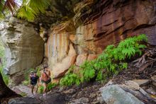Carnarvon Gorge National Park