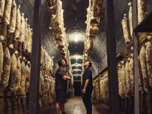 Off the Table Tours Mushroom Tunnel