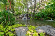 Waterfall feature