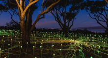 Field of Light; a shining example of art and tourism 