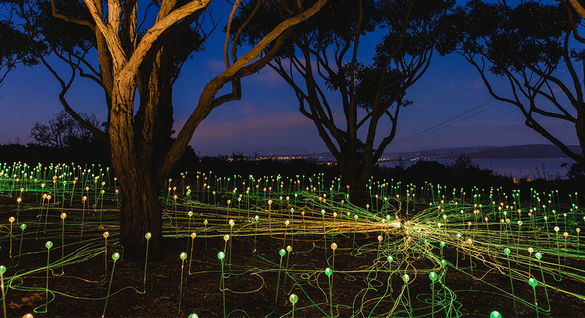 Field of Light; a shining example of art and tourism 
