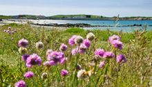 Aussicht auf die L’Ancresse-Bucht im Norden von Guernsey 