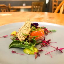 Line caught gin cured trout