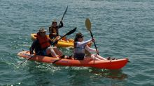 Kayak in the Oceanside Harbor