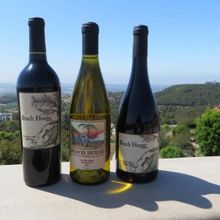 Beach House Winery