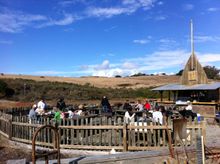 Hog Island Oyster Farm in Marin County