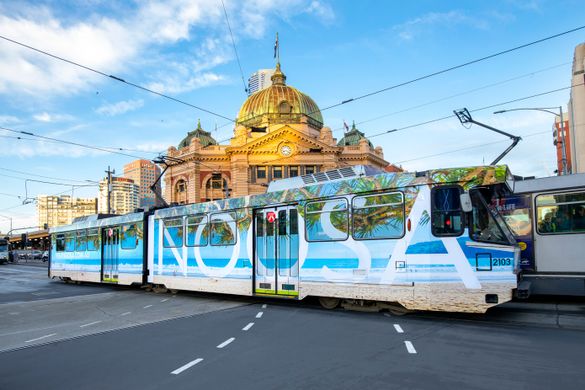 The Noosa Tram