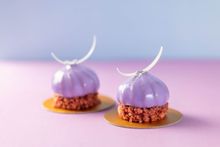 The Lounge Cassis Mousse