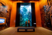 The Ocean of the Future exhibition