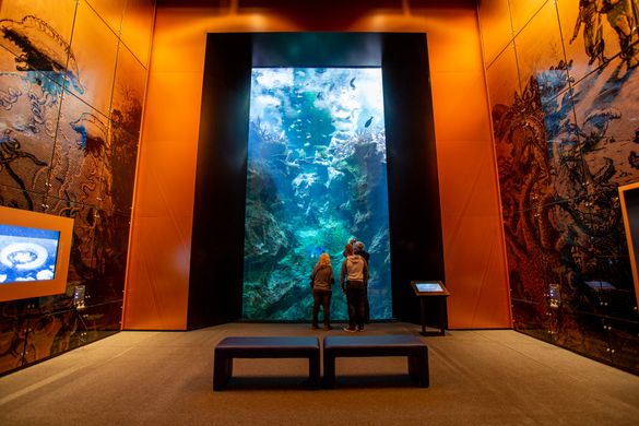 The Ocean of the Future exhibition