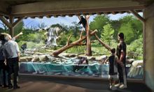 St. Louis Zoo- Andean Bear Rendering