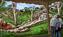 St. Louis Zoo- Sun Bear Forest Rendering