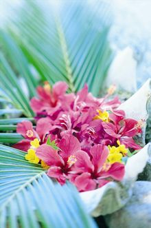 Tropical Style Dunk Island