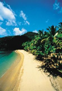 Dunk Island, the Island of Peace and Plenty