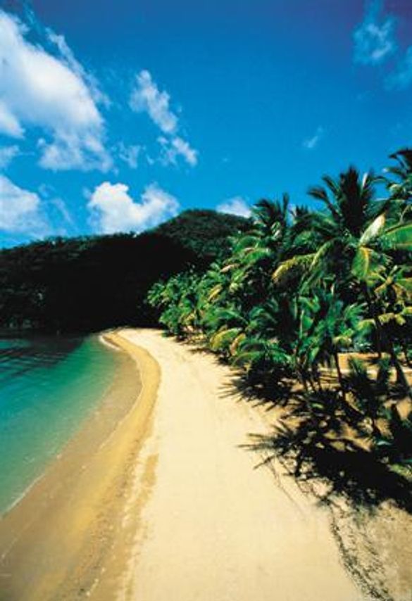 Dunk Island, the Island of Peace and Plenty