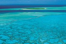 Heron Island, interpretative island and reef walks are a major drawcard