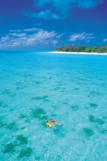 Heron is one of the best snorkelling sites in the world.  The waters around Heron are incredibly rich in marine life. Over 70% o