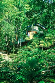 Treehouse accommodation Silky Oaks Lodge