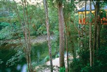 Treehouse Restaurant Silky Oaks Lodge