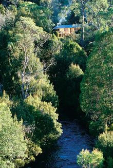 Pencil Pine River