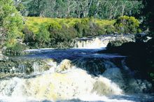 Pencil Pine River and Cradle Valley