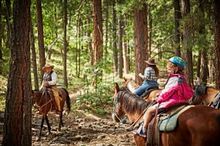 Guided Horseback Ride, Mormon Lake 	
