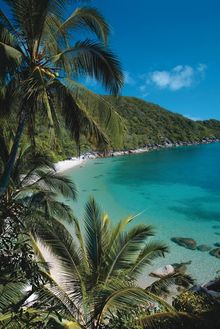 Bedarra Island