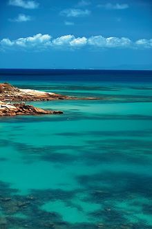 Reef beauty - Lizard Island
