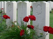 Canadian National Vimy Memorial