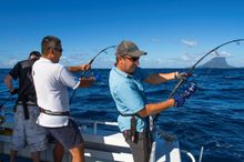 Fishing at Lord Howe Island