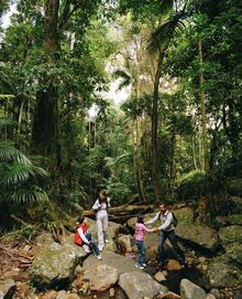 Wollumbin