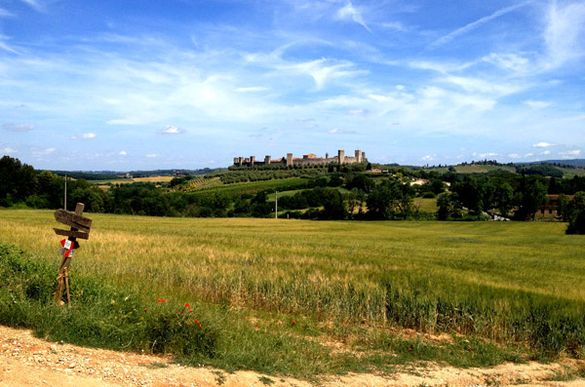 San Gimignano In Tuscany 