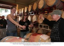 Sonoma Barrel Tasting