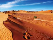Algeria - Sahara Desert