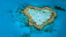 Heart Reef, Whitsundays