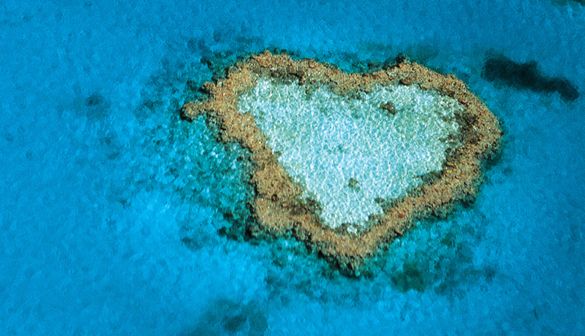 Heart Reef, Whitsundays