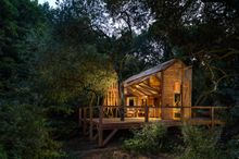 The Danish Cabin