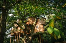 Treetops Treehouse