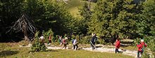 Slovenia sports
