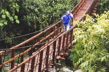 The Repaired Bridge