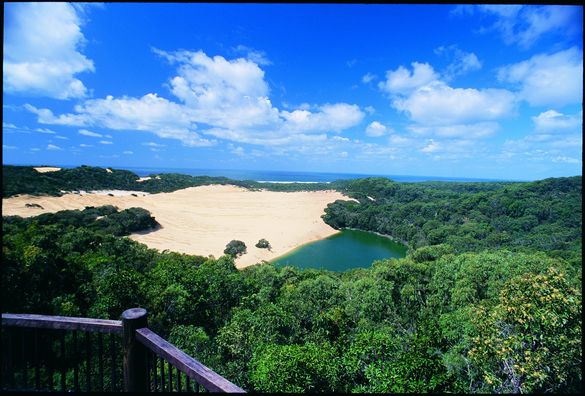 Emerald-green Lake Wabby, nestling between the forest and Hammerstone Sand Blow is a top spot for swimming  on K'gari. 