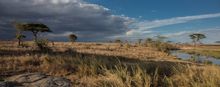 Namiri Plains