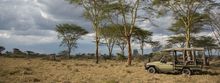 Namiri Plains