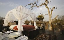 Chalkley Tree House – Lion Sands Game Reserve, South Africa
