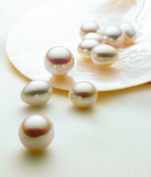 Paspaley Australian South Sea Pearls